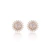 14K Sunbling Earrings (Gold Filled) C24Egf066
