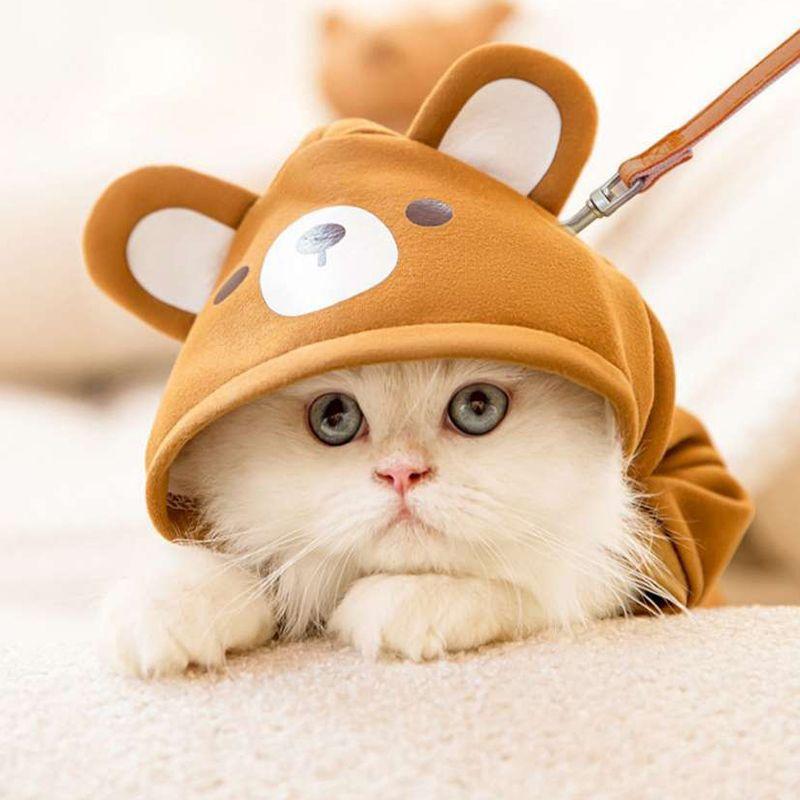 Одежда для домашних животных, одежда для щенков, Тедди/померанский шпиц, маленькая собака, осенне-зимняя осенняя одежда, одежда для четвероногих домашних животных