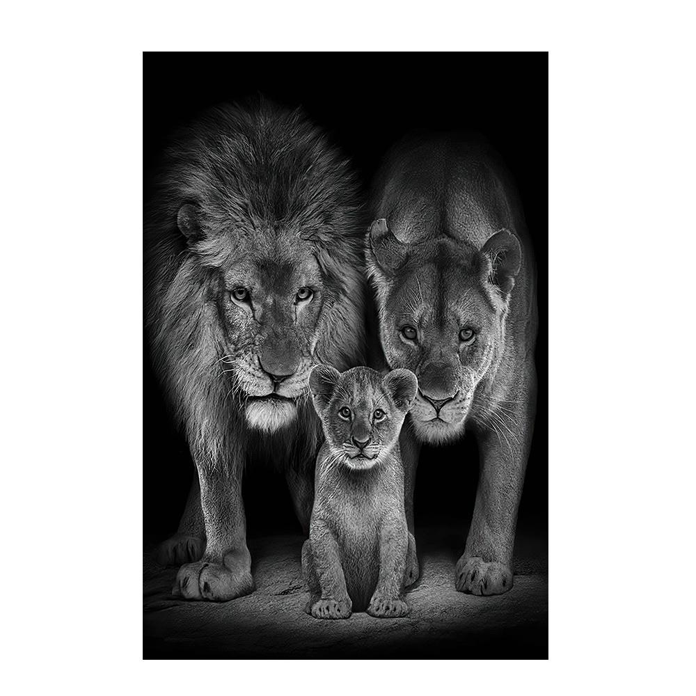 Африканский лев в темноте, настенные постеры и принты, животные, холст, картины, натюрморт, декор для дома