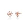 LLOYD Flower Stone 10k Earrings LPTL3032T