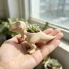 3D Printed Dinosaur Flowerpot Unique Novelty  Pot Cute Desktop Decor for Office Living Room Home Decoration