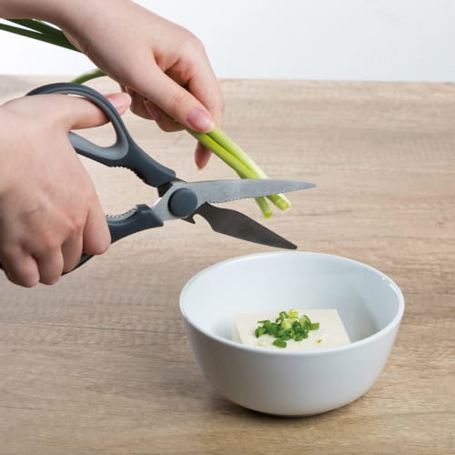 Takeda Corporation RH-20 Removable Kitchen Scissors, Gray, 20 x 8 x 1 cm, Washable and Removable