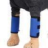 For Wound Recovery Dog Leg Protective Cover Dog Front Leg Brace Puppy Elbow Pad Pet Knee Pads