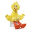 Sesame Street Small Soft Toy (Big Bird)