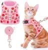 Popular Eco-friendly Polyester Fashion Cat Harness Vest-Style Anti-Escape Leash with Button Closure Breathable Pet Harness Set
