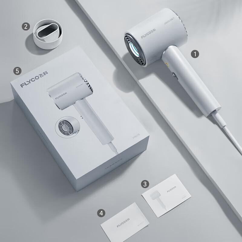 FLYCO FH6312 High-Speed Negative Ion Hair Dryer CN plug (adapter included)