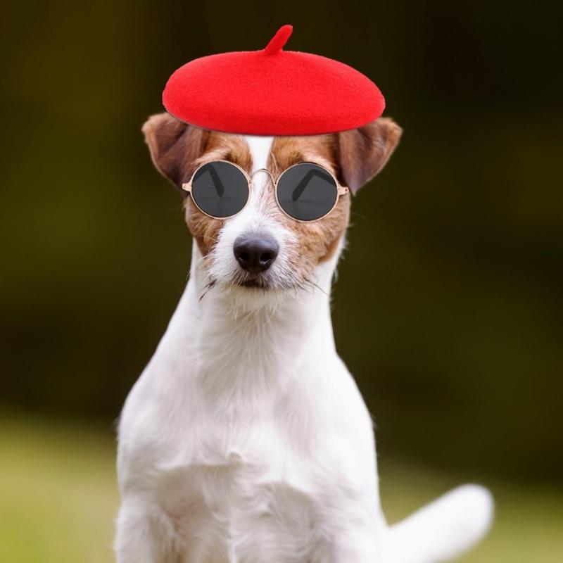 Комплект берета и солнцезащитных очков для питомца для косплей-вечеринки на Хэллоуин, модные аксессуары для костюма для кошек и собак, удобные