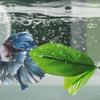 Suction Cup Leaf Pad Resting Bed for Betta Fish Hammock Bed Fishtanks Spawning Ground Leaf Bed Aquariums Breeding Supply