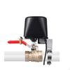 Smart Gas Water Valve Closed for Farmland Irrigation Pipe