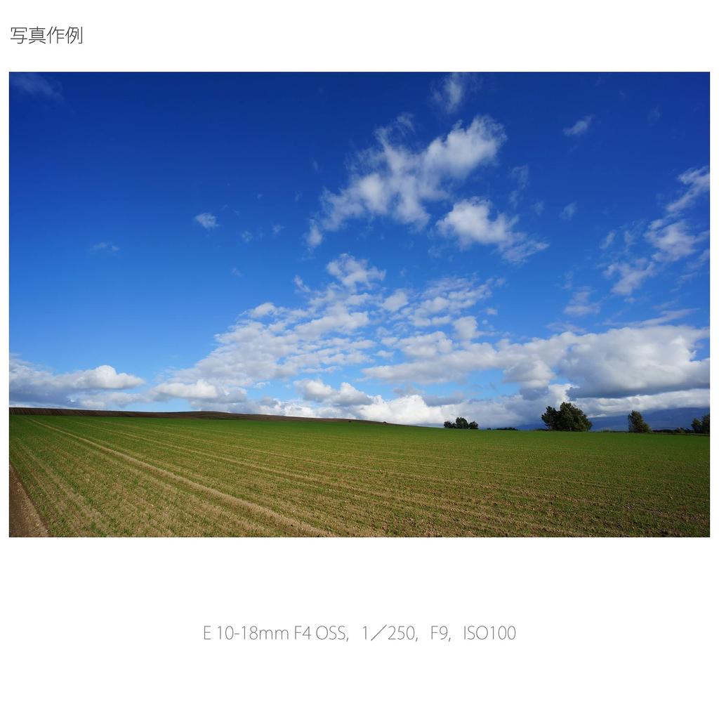 Sony Zoom Lens E F4 OSS for Sony E Mount Exclusive SEL1018 Wide-angle 10-18mm APS-C