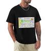 Accesstocommunicationeverywhere Tshirt Anime T Shirts Oversize Tshirt