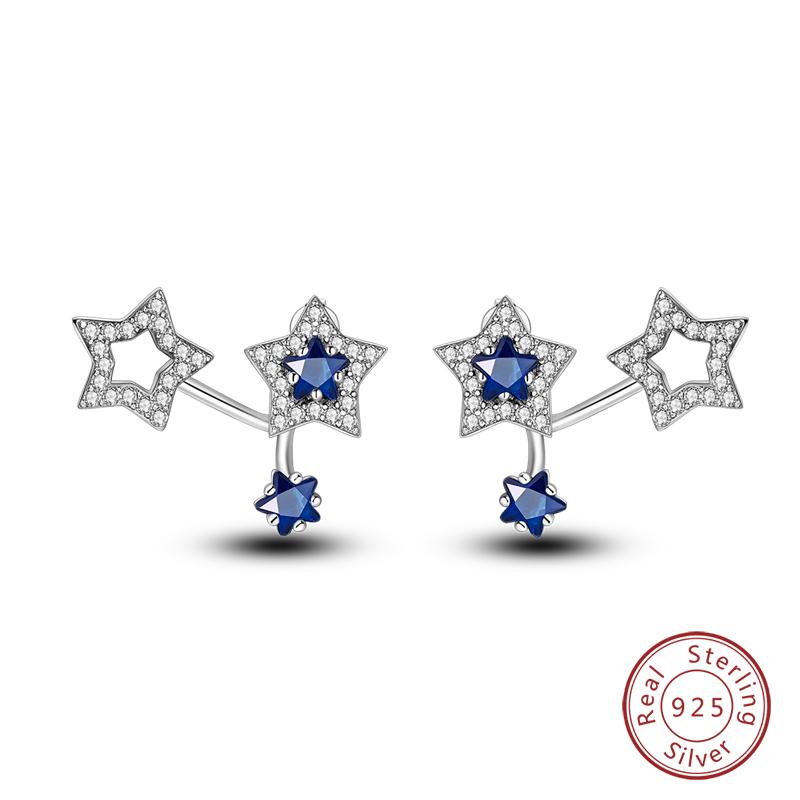 New 925 Silver Hope Rainbow Flower Earrings For Women Sparkling Colored Zircon Star Koi Earrings Fashion Party Jewelry