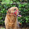 Dog Head Collar, No Pull Training Tool For Walking Dogs, Includes Free Training Guide, Xl