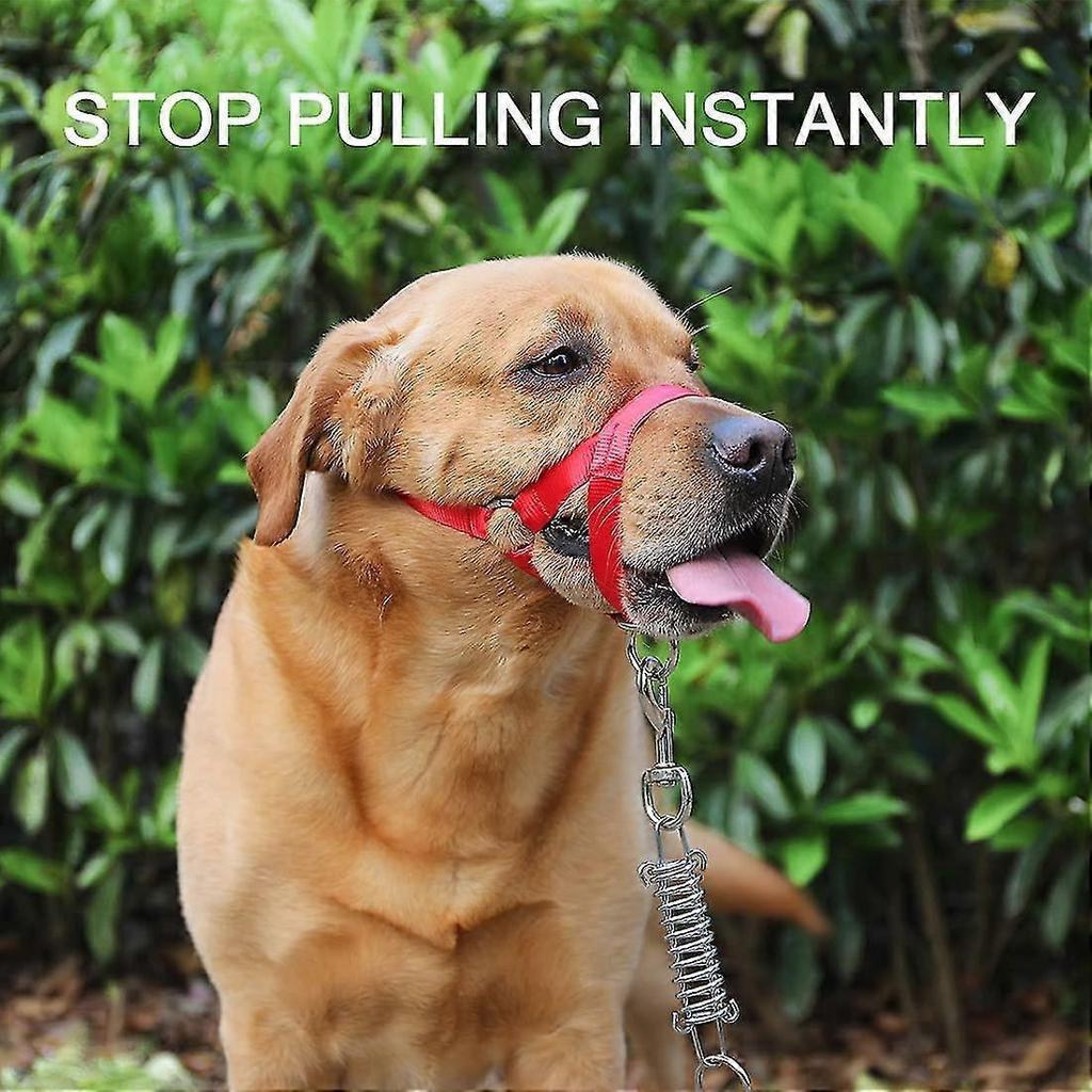 Dog Head Collar, No Pull Training Tool For Walking Dogs, Includes Free Training Guide, Xl