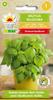 Basil Proper - Genovese 1g of Vegetables for the Garden, Fresh, Large Crops