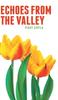 Книга Echoes from the Valley