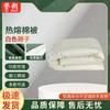 Yushuo Military Training Dormitory Single Mattress
