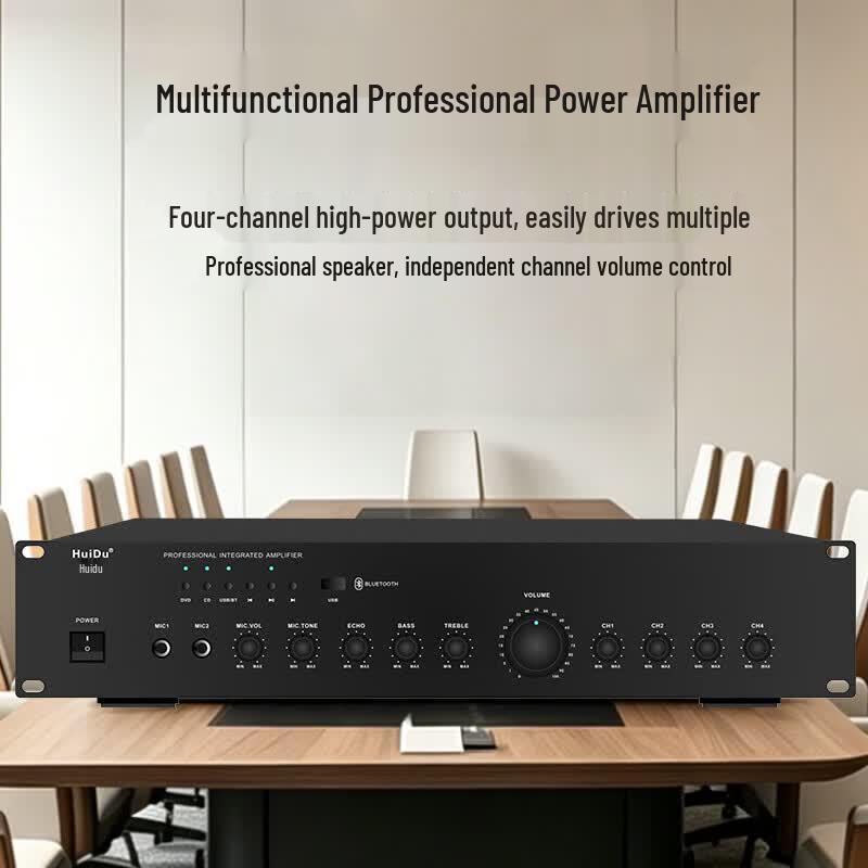 Huidu 10-inch Professional Audio System with Wireless Microphones (CN version)