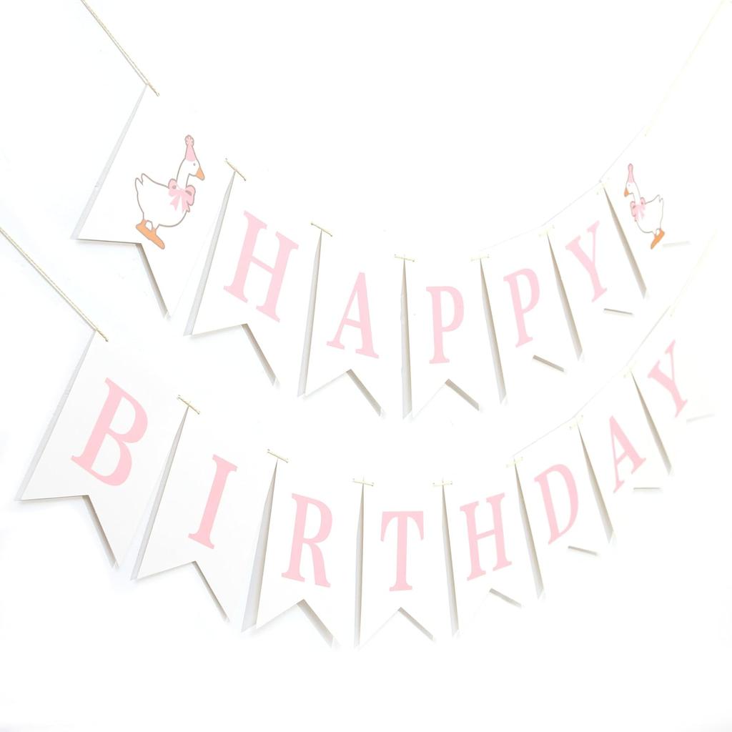 One Silly Goose Happy Birthday Banner - Blue One Silly Goose 1st Birthday Decorations,Baby Boy First Party Theme Decor,Baby Boy Birthday Banner