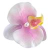 Elegant Flower Hair Clip Unique Hair Barrettes Large Flower Acrylic Hair Clip Chic Hairpin for Weddings and Parties