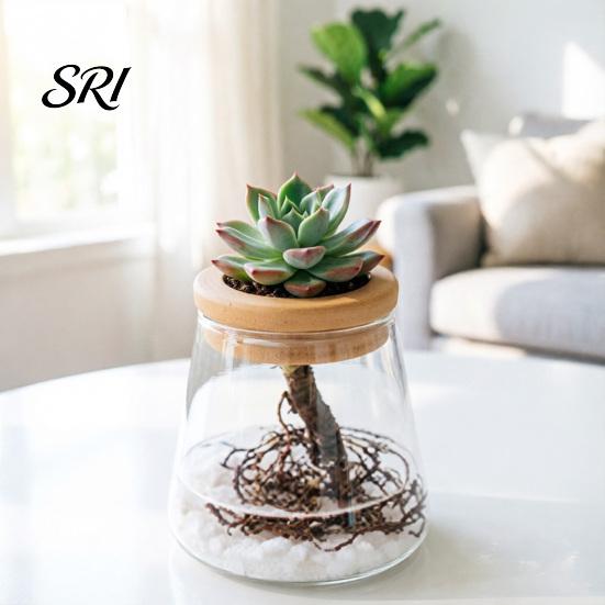 Hydroponic Plant Pot Flowerpot Self Watering with Transparent Glass Bottle And Easy Care Soft Stopper Planter Hydroponics Container for Home
