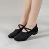 Танцевальная обувь для женщин и взрослых, квадратные балетки для отдыха на открытом воздухе, туфли для танцев в матросском стиле с каблуком, мягкая подошва, танцевальная обувь для практики