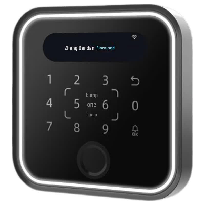DingTalk X1F Face & Fingerprint Time Attendance Access Control System CN plug (adapter included)