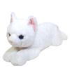 Sunlemon Knee Cat Odd Eye White M 17 X 18 X 47cm Stuffed Animal P-1832