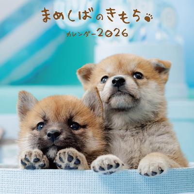Календарь чувств 2026 Мамесиба ([Календарь])