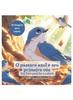 The O Passaro Azul E Seu Primeiro Voo : Um Livro Para Ler E Colorir Book