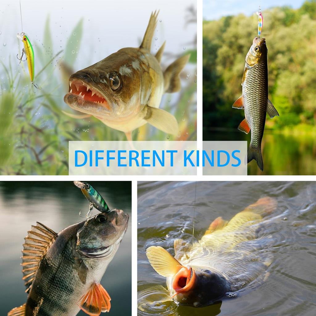 Fishing Lure Kit Saltwater Freshwater Hard Bait Lures Shallow Crankbait Fishing Lewers For Bass Panfish Crappie