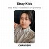 Stray Kids Официальная фотокарточка dominATE Experience