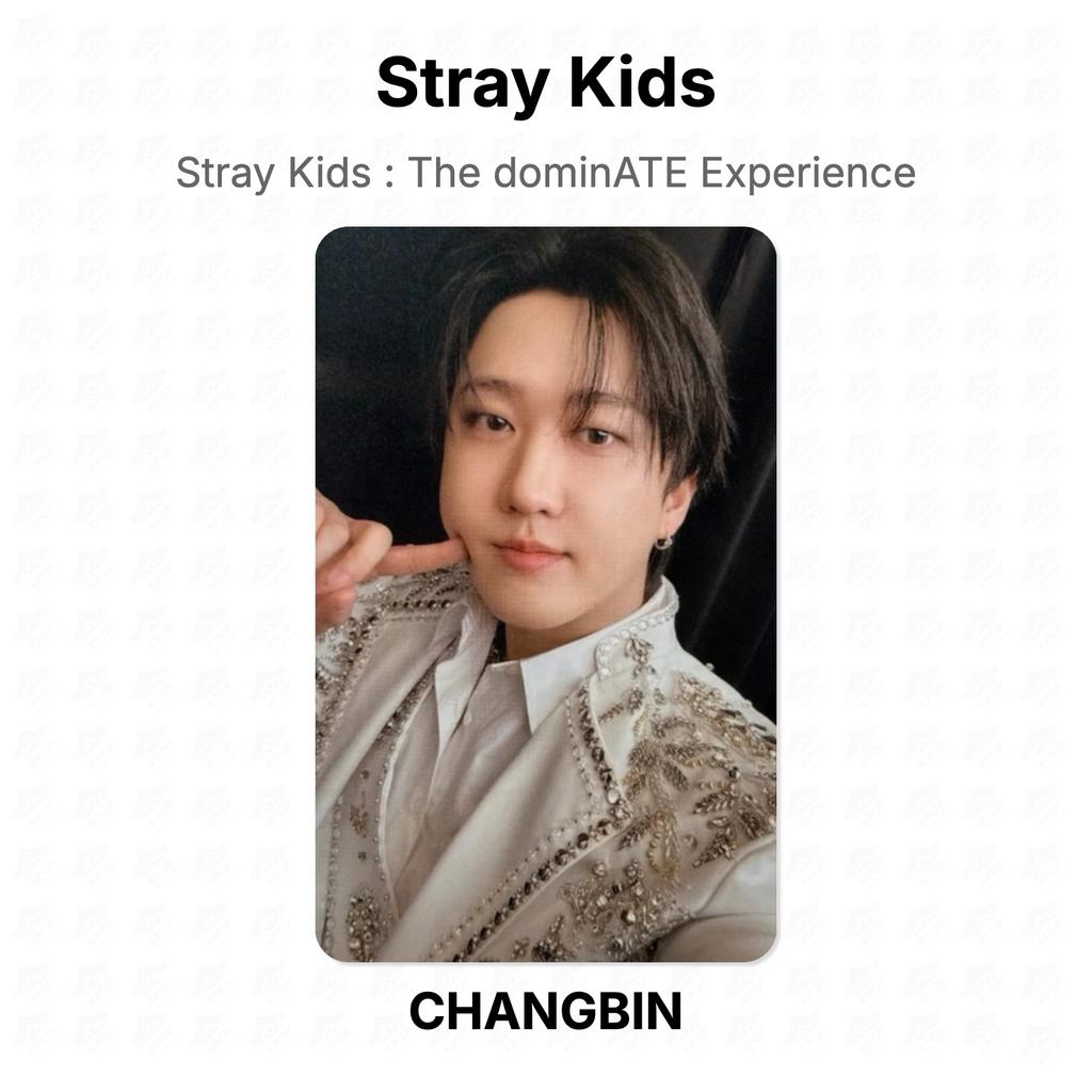 Stray Kids Официальная фотокарточка dominATE Experience