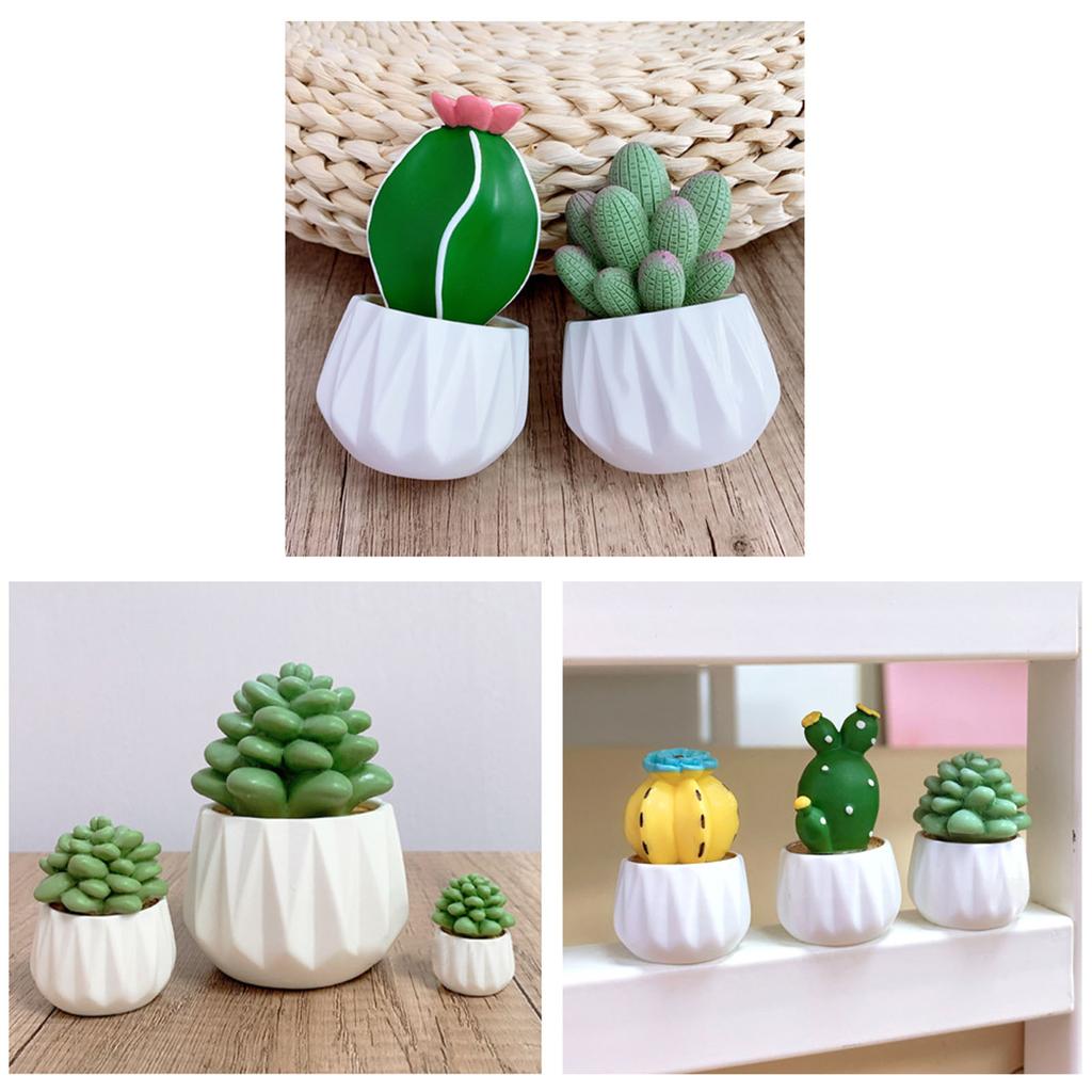Mini Artificial Cactus and Bonsais Figure Resins Succulent Faux Potted Plant Figurine for Home and Office Desktop Decors