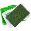 AP52 DOG LITTERS MAT WITH GRASS FOR PUPPIES