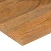 Vidaxl Blat Biurka, Z Wycięciem, 100X60X2,5 Cm, Surowe Drewno Mango