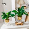 Water Reservoir Planter Self Watering for Indoor Plants, Transparent Hydroponic Planter, Decorative Plant Pot Flowerpot with Wick Rope Home