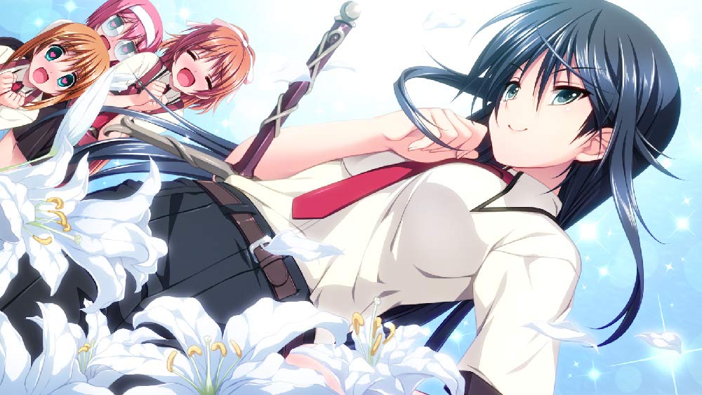 Девушка в любви и щит защиты Дева Мария стандартного издания PSVita ~Розы~ -