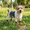 4PCS Wear Resistant Dog Anti-slip Socks Elastic Pet Floor Socks Pet Footwear  for Dogs Cats