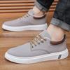 Summer New Breathable Men's Canvas Shoes Casual Men's Shoes Student Shoes Youth Tide Board Shoes Hong Kong Style Cloth Shoes