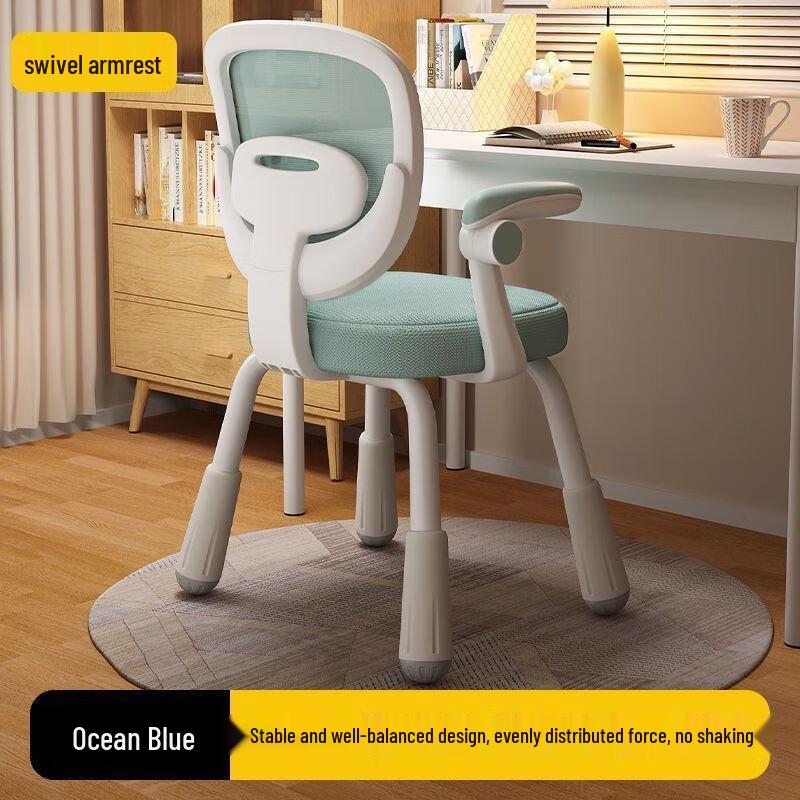 Longchan Kids Ergonomic Study Chair