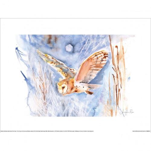 Jennifer Rose Barn Owl Winter Sky Poster