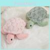 Plush Turtle Stuffed Toys Marine Organism Couple Dolls Girl Gifts Birthday