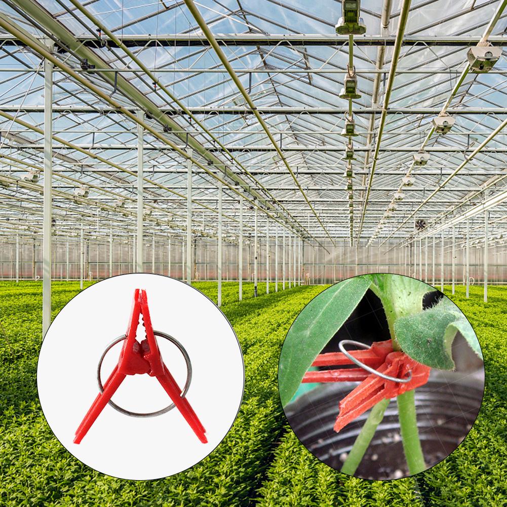 50 шт. пластиковые зажимы для прививки садовые овощи баклажаны помидоры виноградная лоза зажим