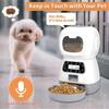 Pet Supplies Automatic USB Intelligent Food Dispenser Cat Dog Voice Programmable Timer Stainless Steel Bowl Dog Cat Pet Feeder Windows Feeder