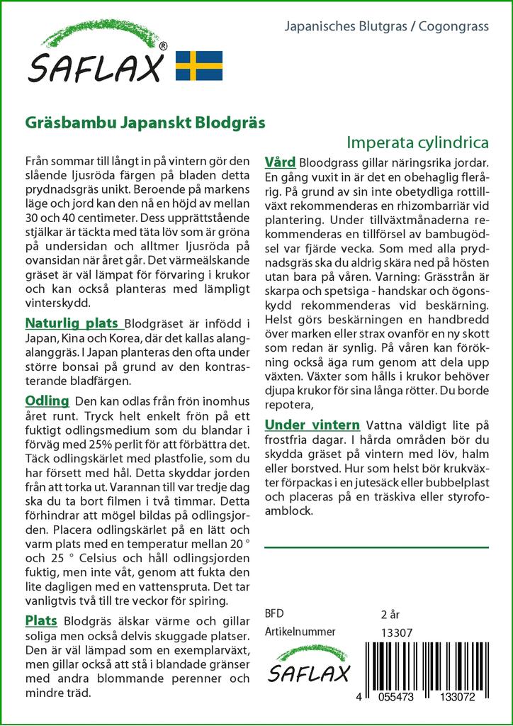 SAFLAX Когонгграсс - 50 семян - Imperata cylindrica