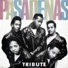 Виниловая пластинка PASADENAS  Tribute LC0149 1988 UK SoulFunk Б/у