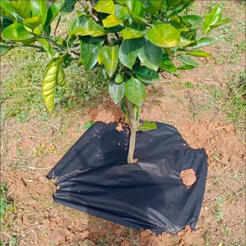 1 шт., Ткань для садоводства и гражданского строительства, Водопроницаемый двор, Ткань для защиты от травы, Камень, Цветочный пруд, Разделитель почвы,