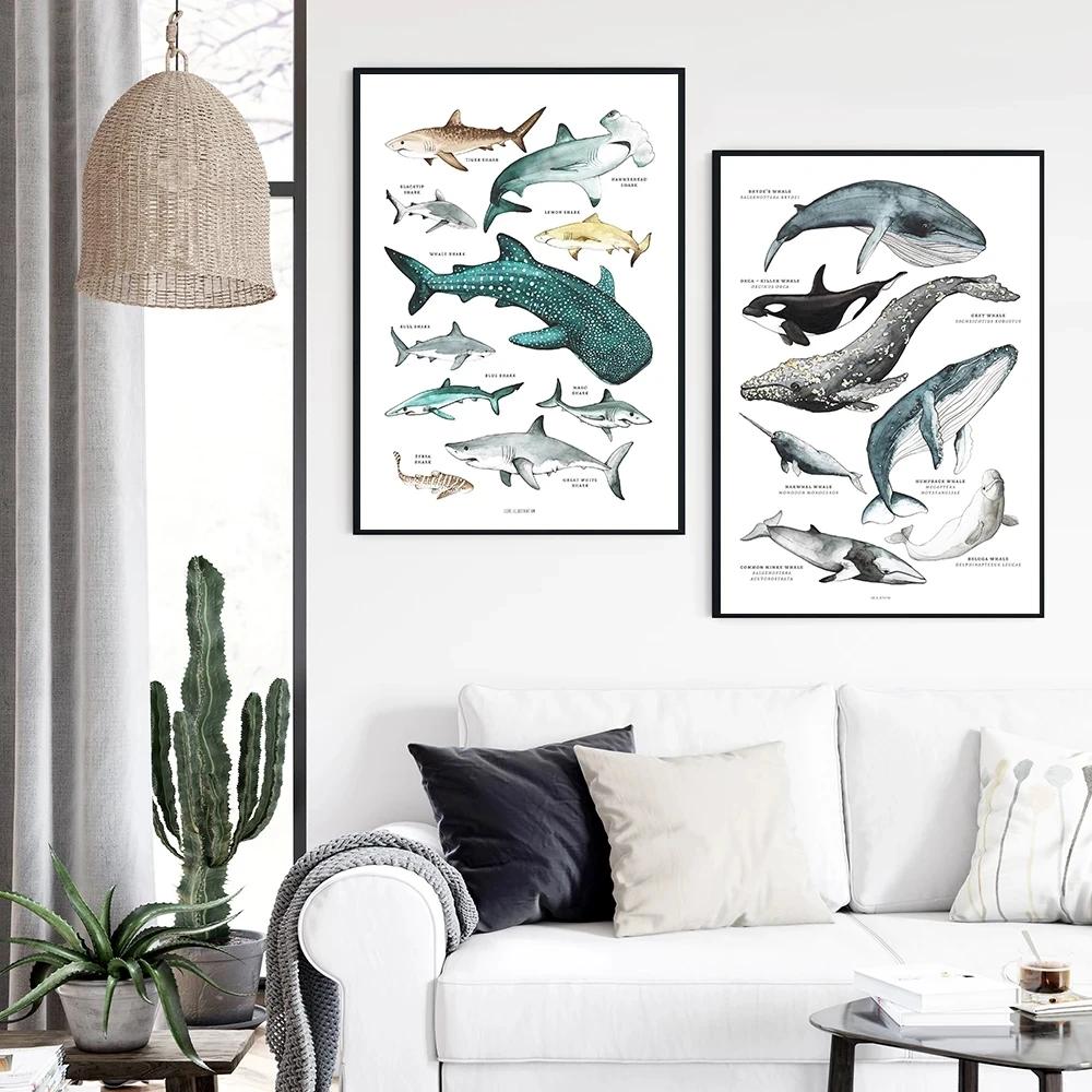 Scandinavian Simple Wall Art Rays Octopus Whale Shark Marine Animal HD Canvas Poster Print Home Bedroom Living Room Decor