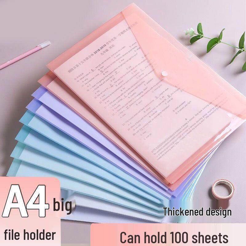 Прозрачная папка-конверт А4 с мультяшным рисунком на кнопке и местом для хранения этикетки